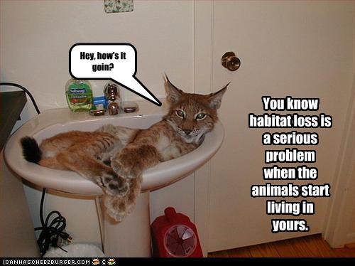 You know habitat loss is a serious problem when the ...