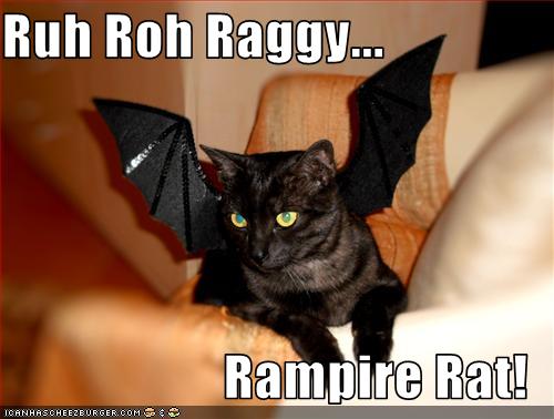 Ruh Roh Raggy Rampire Rat Cheezburger Funny Memes Funny Pictures
