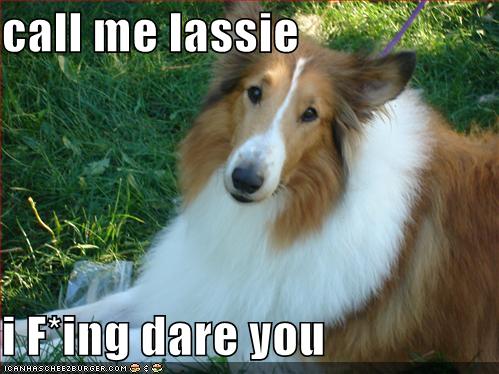 me lassie