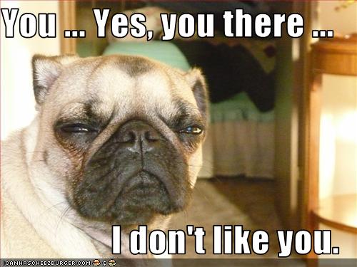 dislike-dont-grumpy-hate-pug-2777210368