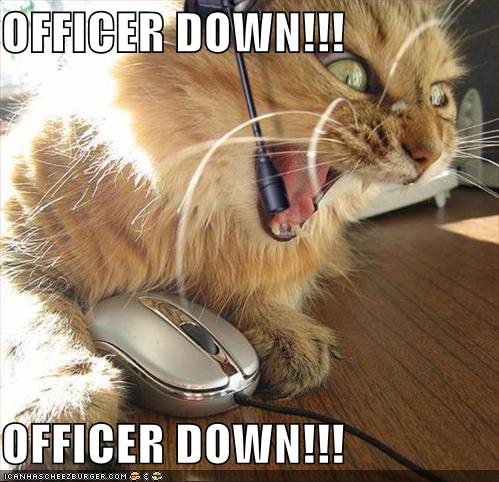 Officer Down Memes Gifs Imgflip