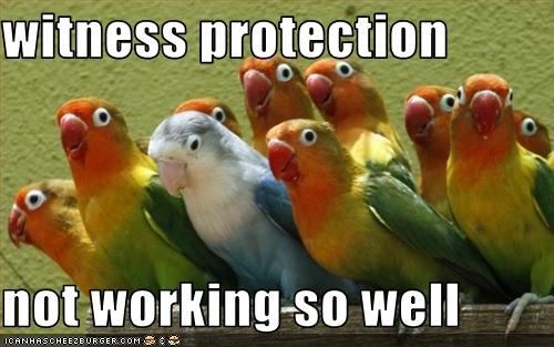 witness protection not working so well - Cheezburger - Funny Memes ...