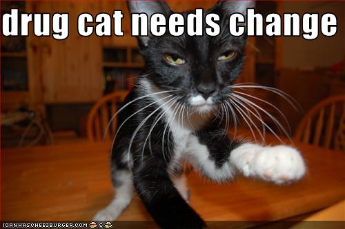 drug cat needs change - Cheezburger - Funny Memes | Funny ...