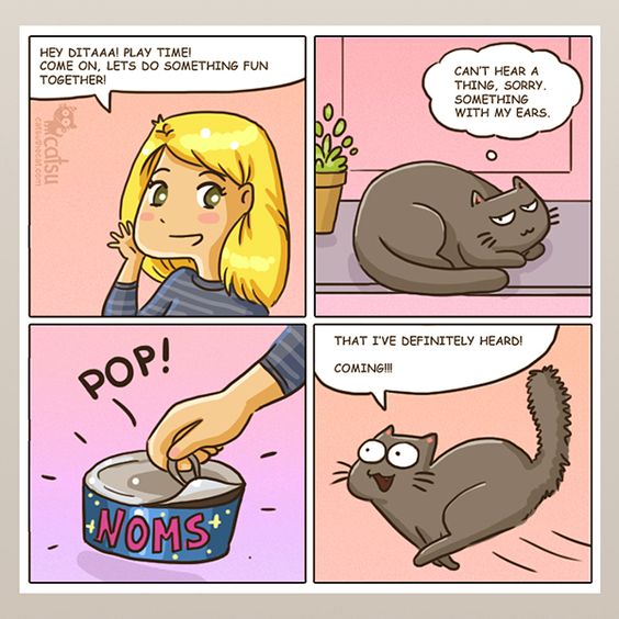 8 Hilarious Comics From The GamerCat - I Can Has Cheezburger?