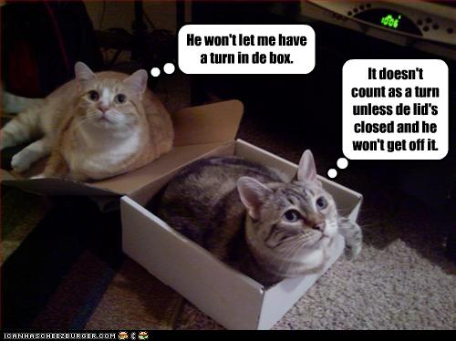 He won't let me have a turn in de box. - Cheezburger - Funny Memes