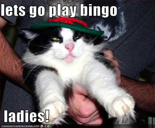 Ladies Bingo