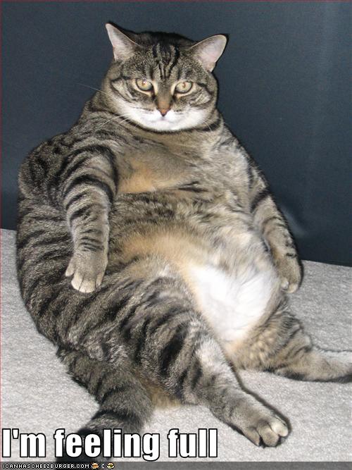 Photopea app download for android windows 10