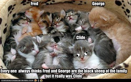 Every One Always Thinks Fred And George Are The Black Sheep Of The