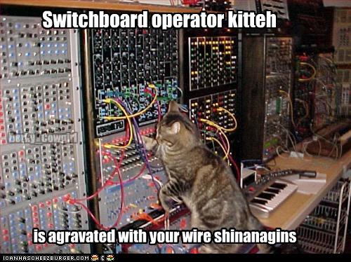 Switchboard operator kitteh - Cheezburger - Funny Memes | Funny Pictures