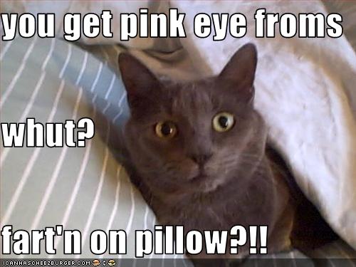 You Get Pink Eye Froms Whut Fart N On Pillow Cheezburger
