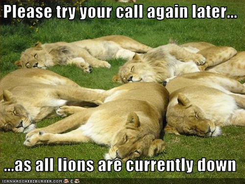 Please try your call again later... ...as all lions are currently down ...