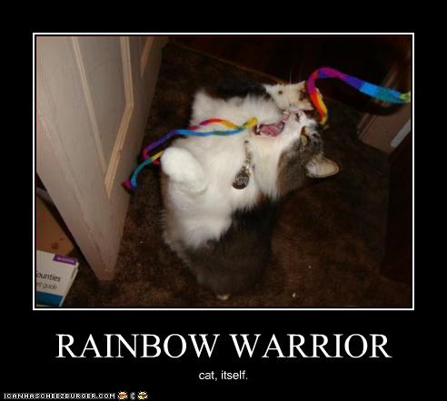 Rainbow Warrior Cheezburger Funny Memes Funny Pictures