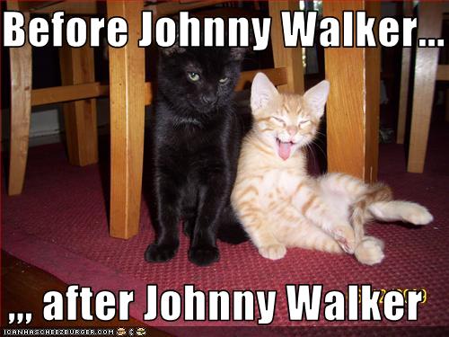 It S Jon S Birthday Johnnie Walker Meme Generator