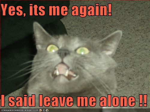 Yes Its Me Again I Said Leave Me Alone Cheezburger Funny Memes Funny Pictures