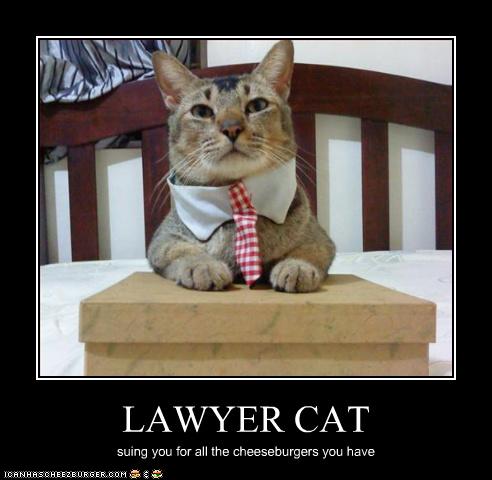 LAWYER CAT - Cheezburger - Funny Memes | Funny Pictures