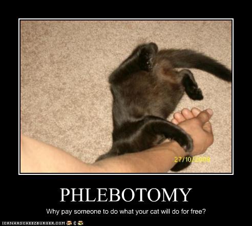 PHLEBOTOMY - Cheezburger - Funny Memes | Funny Pictures