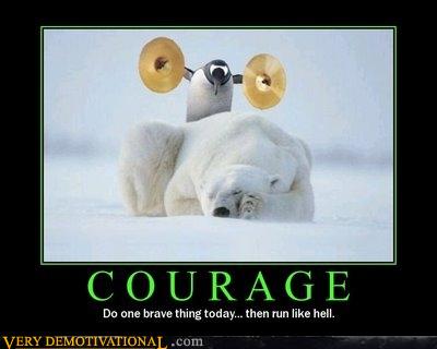 Image result for penguin polar bear cymbals