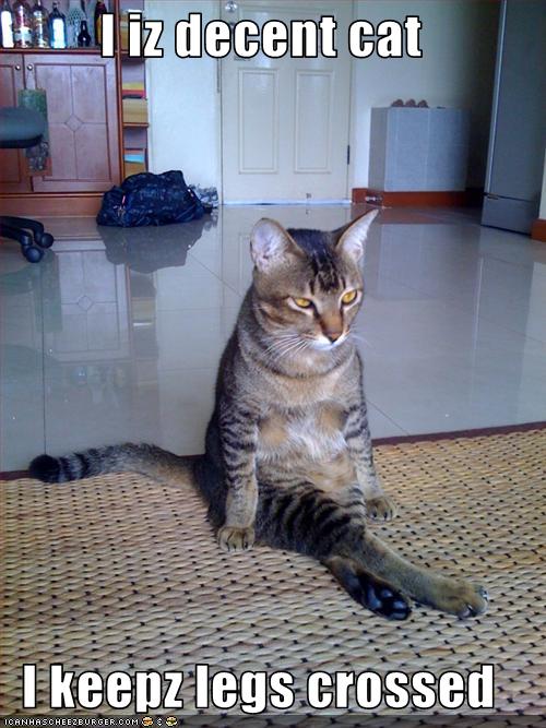 good captions for dating sites