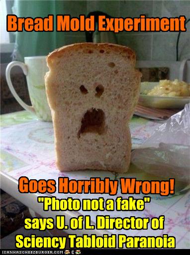 Bread Mold Experiment - Cheezburger - Funny Memes | Funny ...