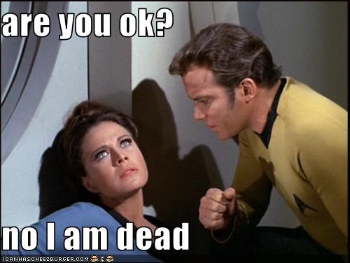 Are You Ok No I Am Dead Cheezburger Funny Memes Funny Pictures