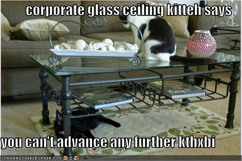 Corporate Glass Ceiling Kitteh Says You Can T Advance Any Further