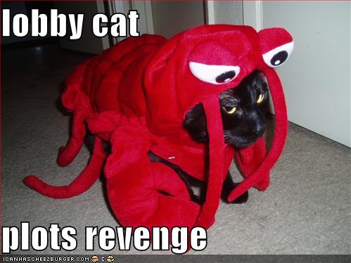 Plots Revenge