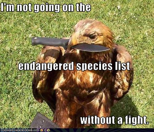 I'm not going on the endangered species list without a ...