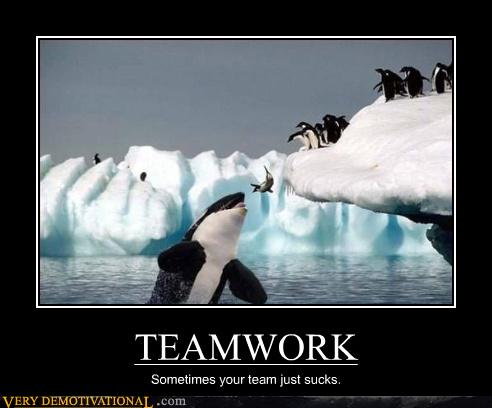 Who Is on the Whale's Team? - Very Demotivational 