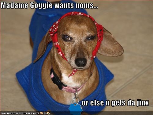 I Has A Hotdog - Dog Pictures - Funny pictures of dogs - Dog Memes ...