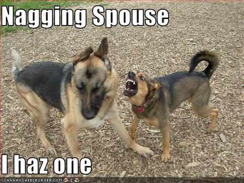 Nagging Spouse I haz one - I Has A Hotdog - Dog Pictures - Funny ...