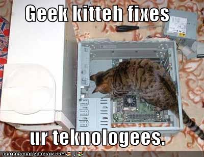 Geek kitteh - Lolcats - lol | cat memes | funny cats | funny cat ...