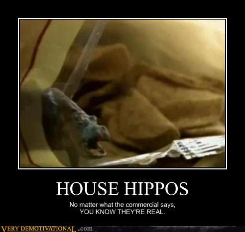 WTF Are House Hippos? - Very Demotivational - Demotivational Posters