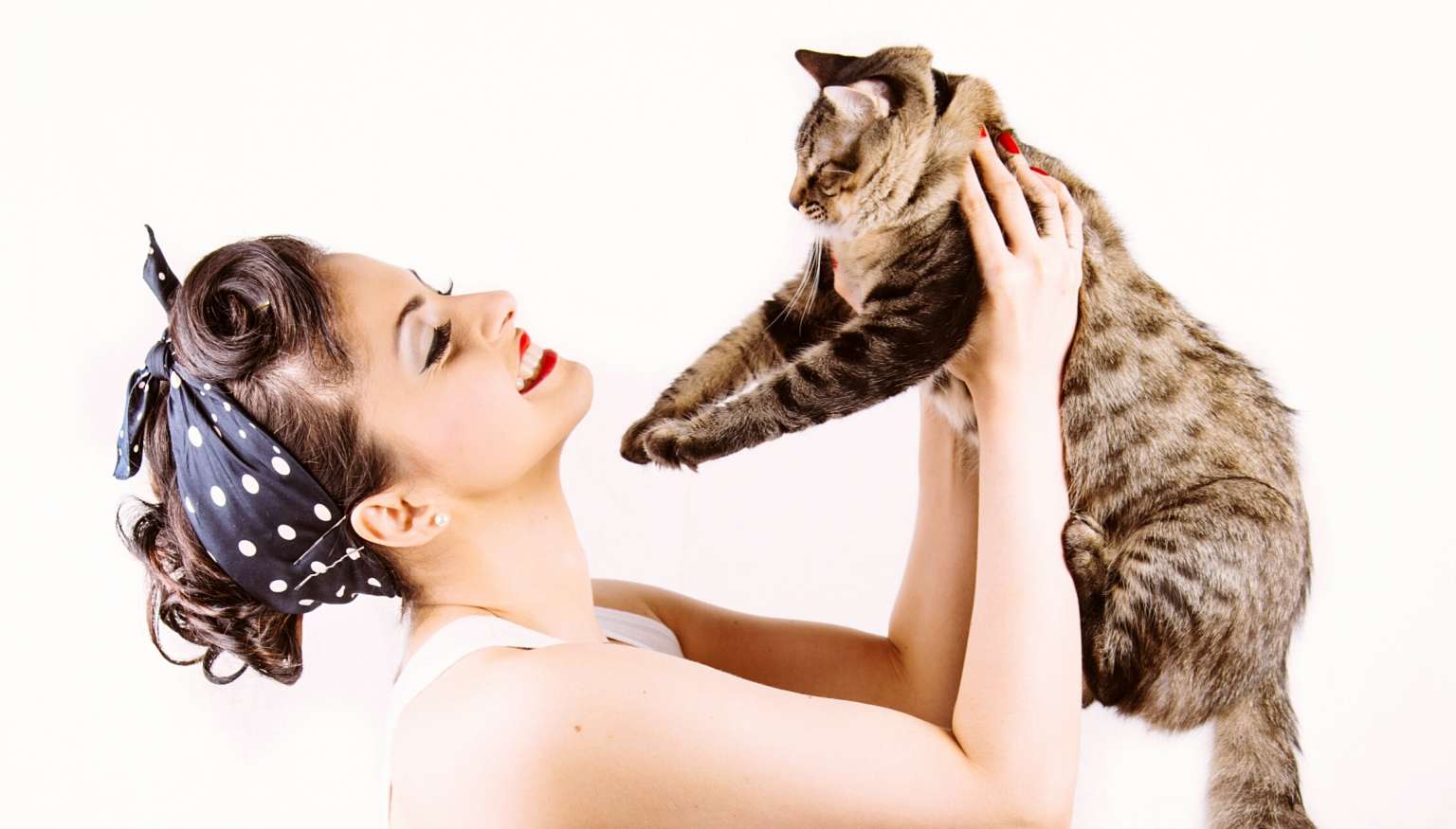 10 Things You Should Know Before Dating A Cat Lady I Can Has Cheezburger