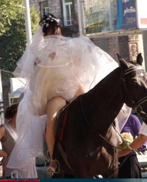 Wedinator - Wedding Dress Flashing - funny wedding photos - Cheezburger