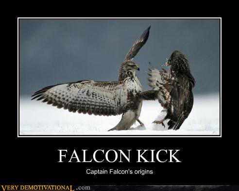 Memebase Falcon Punch All Your Memes In Our Base Funny