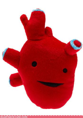 anatomically correct heart plush