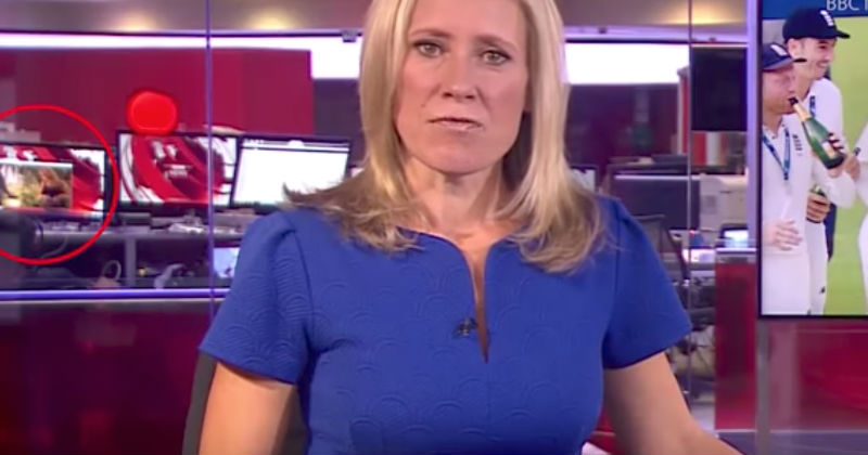 Bbc News Segment Getting Interrupted By Staffer Watching Adult Film In