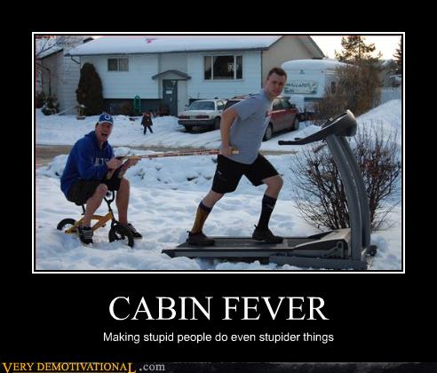 Very Demotivational - cabin fever - Very Demotivational 