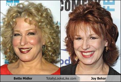 Bette Midler Totally Looks Like Joy Behar - Totally Looks Like