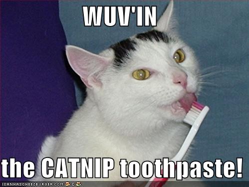 catnip toothpaste