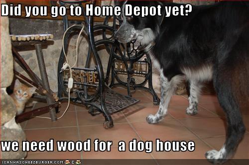 home depot dog house
