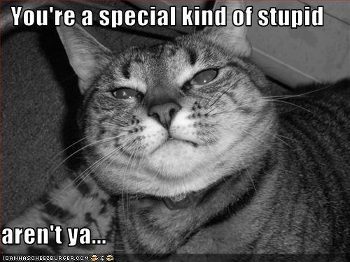 You're a special kind of stupid aren't ya... - Cheezburger ...