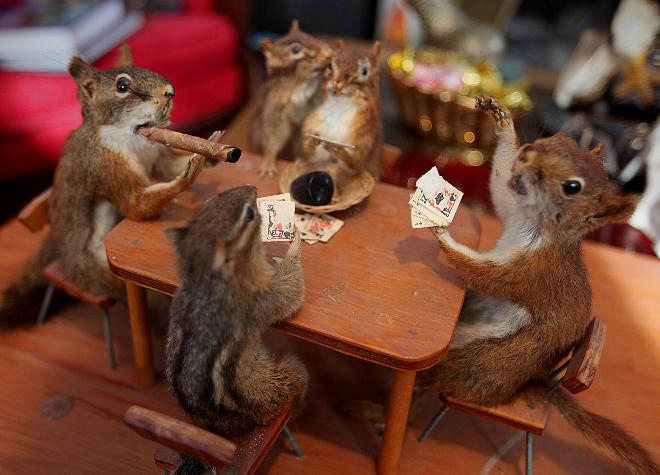 animals smoking playing play games cards human cat stuffed funny chipmunk animal friends plays cats decided fish meme dioramas collector