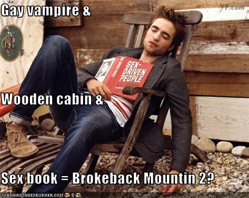 Gay Vampire Wooden Cabin Sex Book Brokeback Mountin 2 Pop