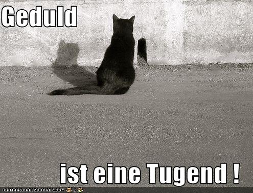 Download Geduld ist For Android Free