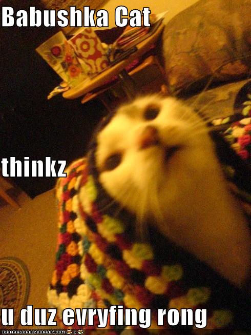 Babushka Cat thinkz u duz evryfing rong Cheezburger Babushka Cat thinkz u duz evryfing rong Cheezburger