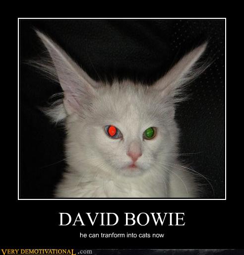 DAVID BOWIE - Very Demotivational - Demotivational Posters 