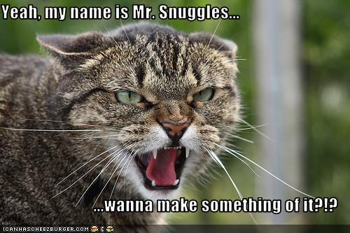 Yeah, my name is Mr. Snuggles... ...wanna make something of it?!? - I ...