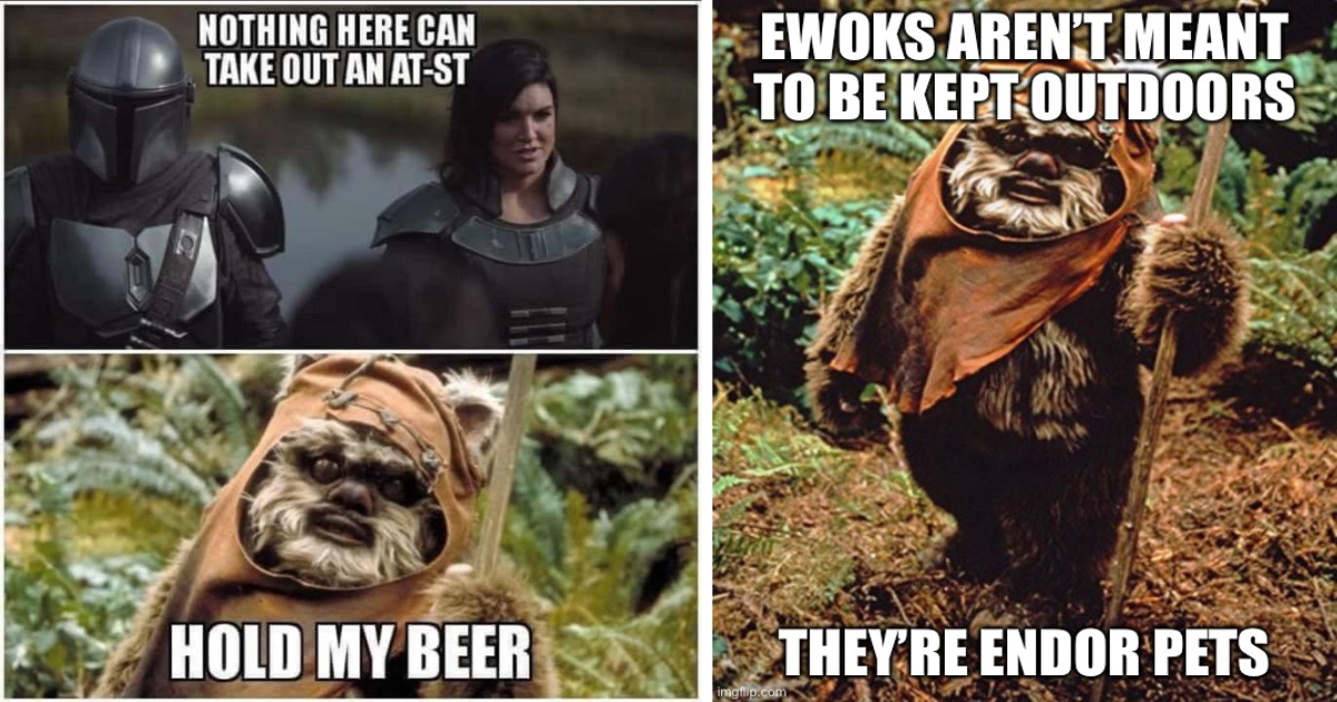 25 Cute And Cuddly Ewok Memes Straight From The Forest Moon Of Endor