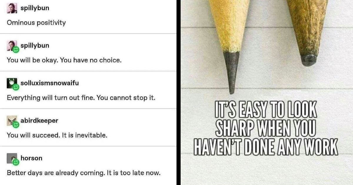Original Meme Quotes Funny Motivational Wall Decor 8x10"